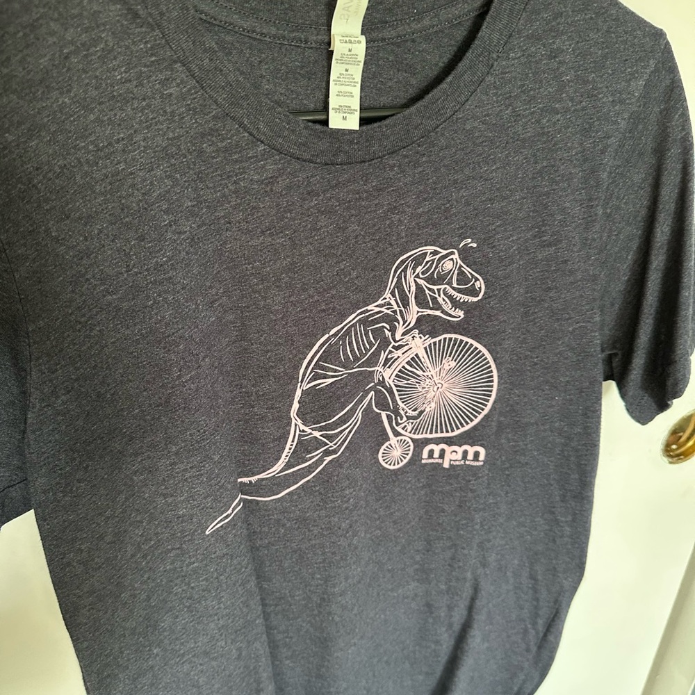 Gray T-Shirt with Dinosaur Design